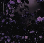 stan: skz, bts, txt, 97kids, mitski, akugetsu, maretu, kikuo, lady gaga, double face, crazy:b, undead, ayesha erotica, idle, chapell, masa works, etc..